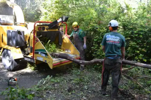 tree services Ak-Chin Village